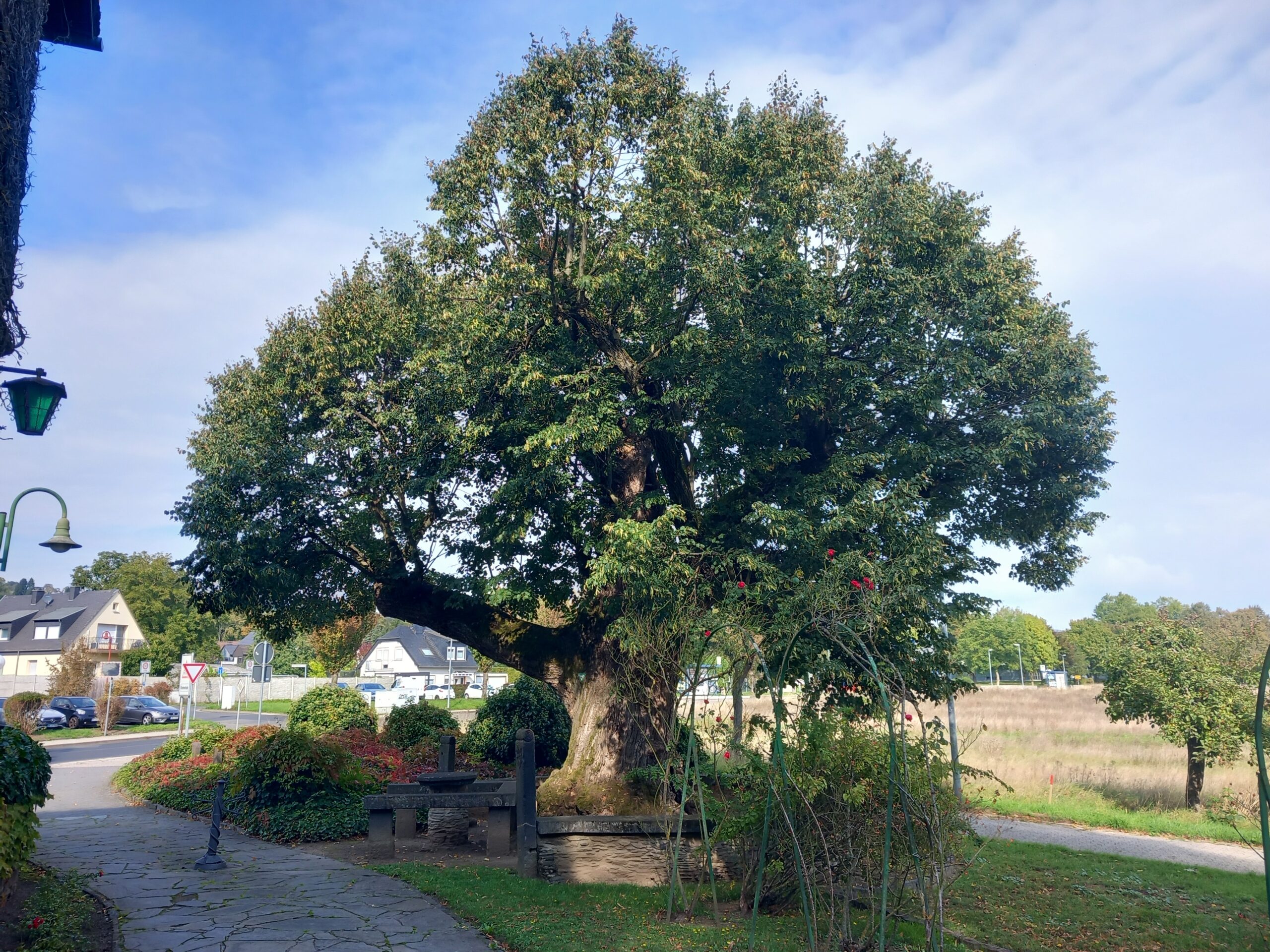 Die Märkerschaft Feldkirchen – 500 Jahre gelebte Waldtradition am Mittelrhein