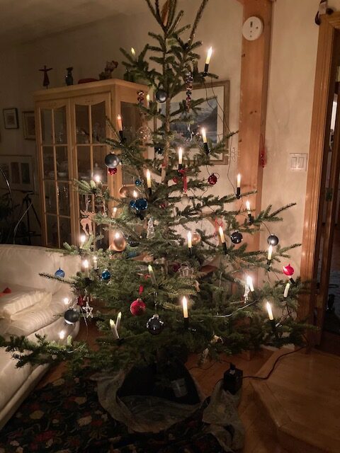 Der letzte Weihnachtsbaum